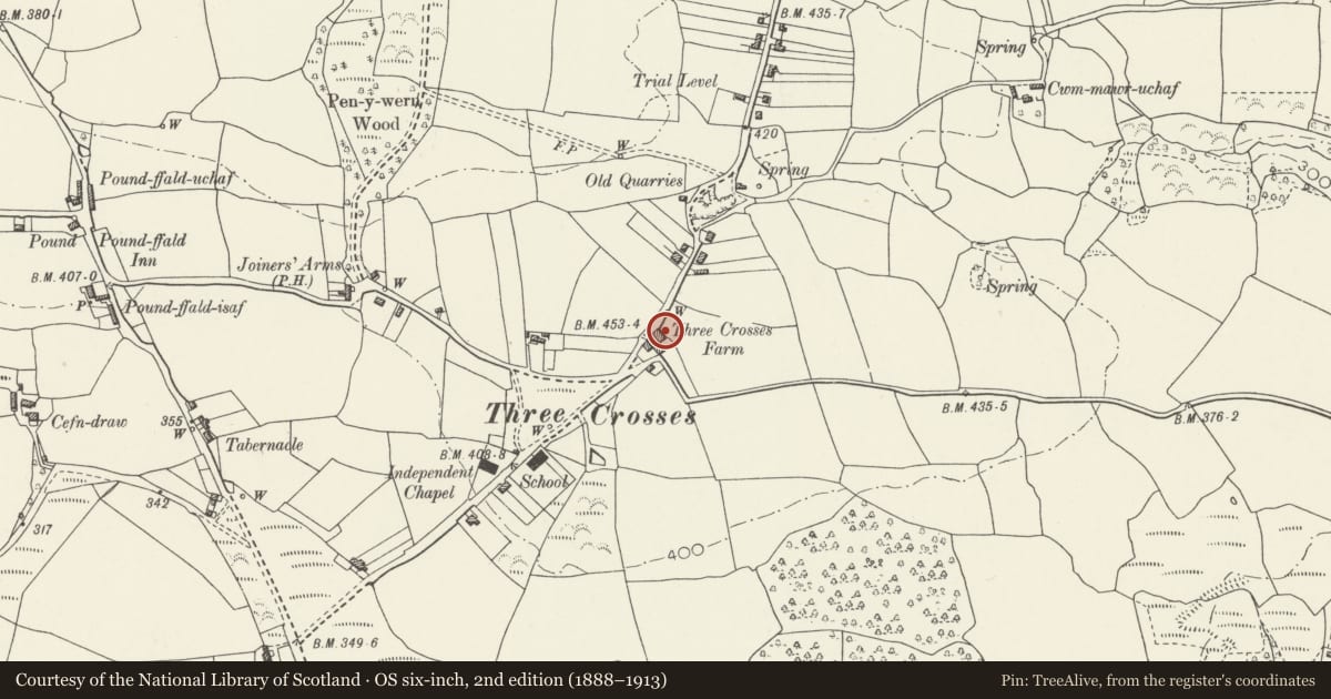Ordnance Survey six-inch map, 2nd edition (1888–1913) covering the location of Stable and cowshed, Crwys Farm, Llanrhidian Higher, Swansea, with a pin at the register's coordinates