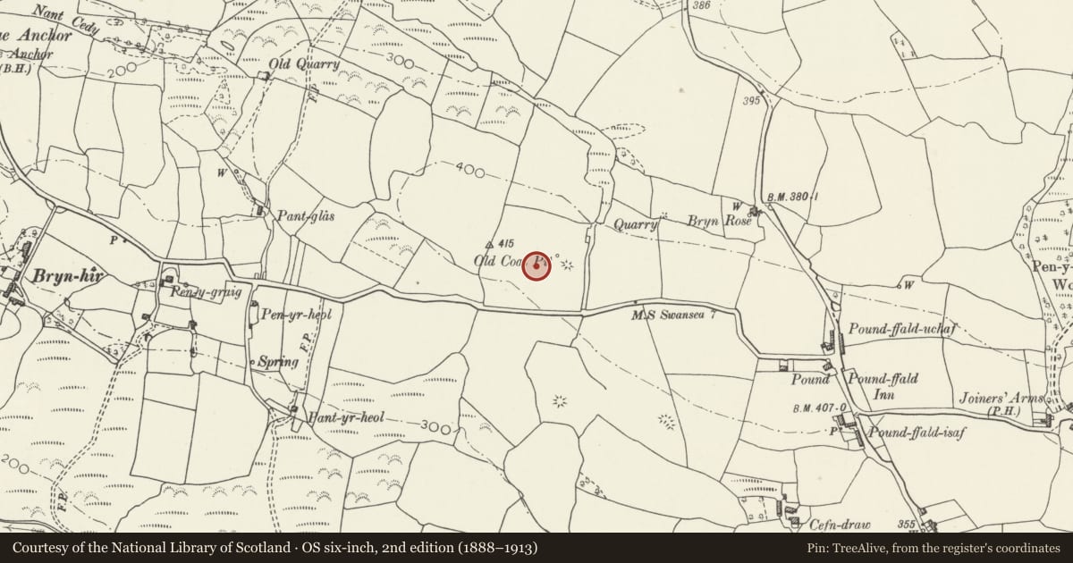 Ordnance Survey six-inch map, 2nd edition (1888–1913) covering the location of Caer Eithin Engine House, Berthlwyd Colliery, Llanrhidian Higher, Swansea, with a pin at the register's coordinates