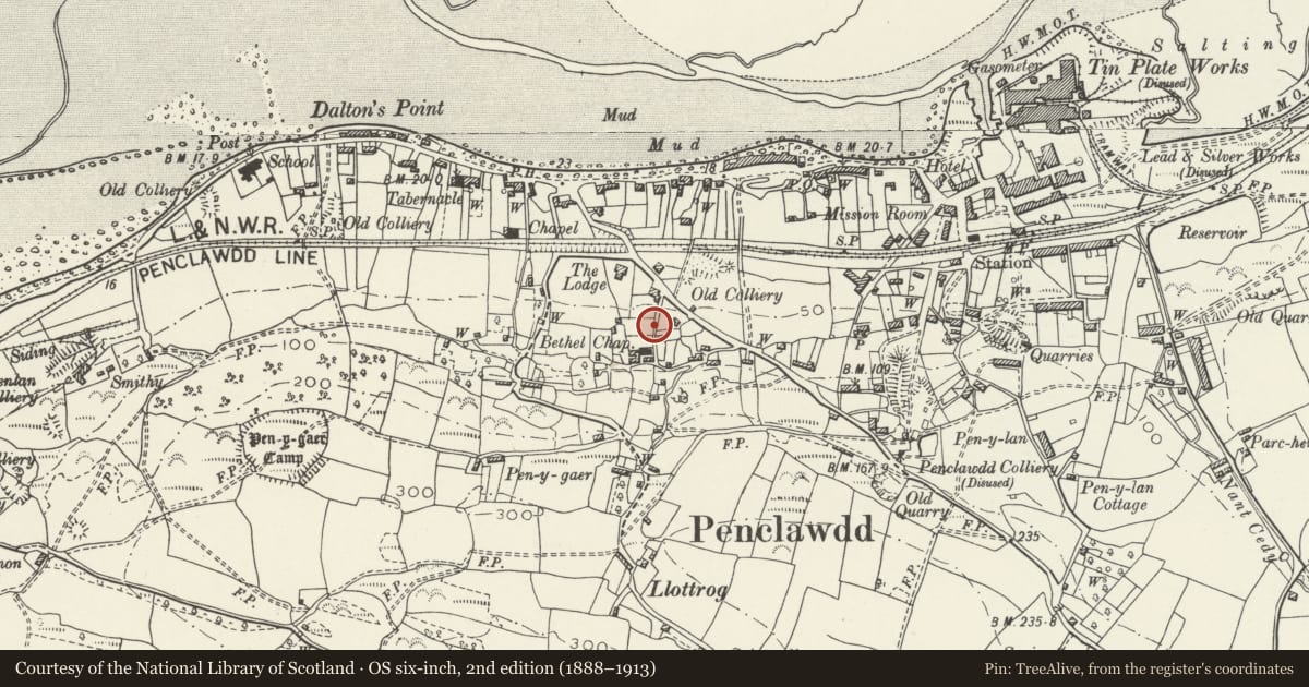 Ordnance Survey six-inch map, 2nd edition (1888–1913) covering the location of Walls with ornamental gates and railings, Bethel Chapel, Llanrhidian Higher, Swansea, with a pin at the register's coordinates