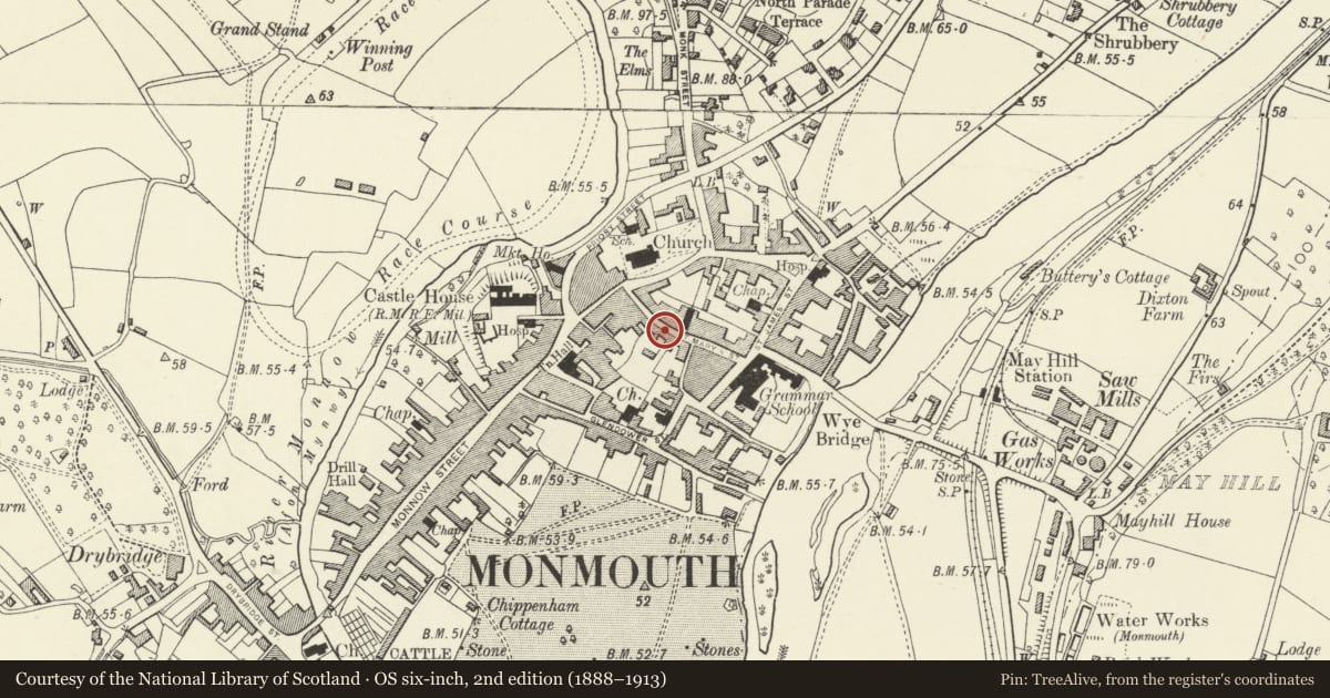 Ordnance Survey six-inch map, 2nd edition (1888–1913) covering the location of 19 St. Mary's Street, Monmouth, Monmouthshire, with a pin at the register's coordinates