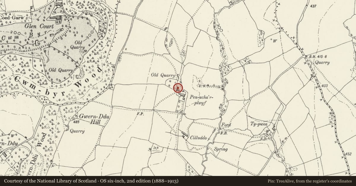 Ordnance Survey six-inch map, 2nd edition (1888–1913) covering the location of Open-bay shed at Pen-ucha'r-plwyf, Llantrisant Fawr, Monmouthshire, with a pin at the register's coordinates