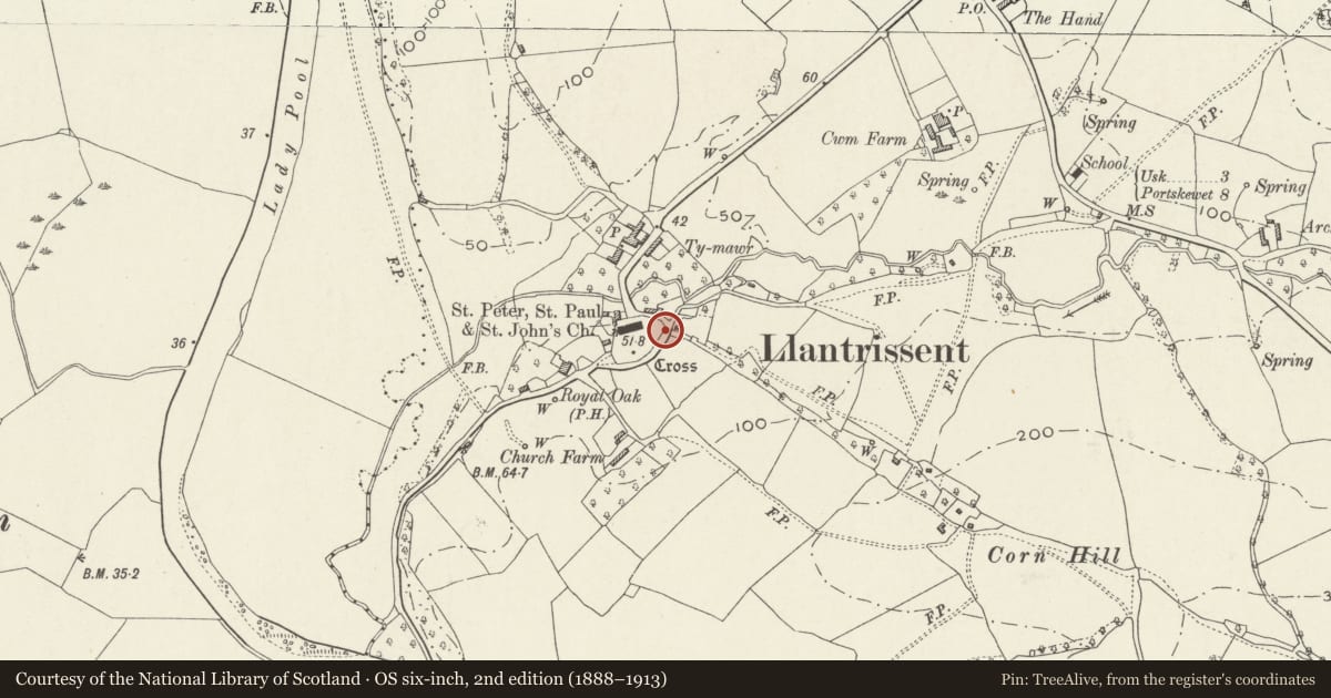Ordnance Survey six-inch map, 2nd edition (1888–1913) covering the location of Lychgate to Parish Church, Llantrisant Fawr, Monmouthshire, with a pin at the register's coordinates