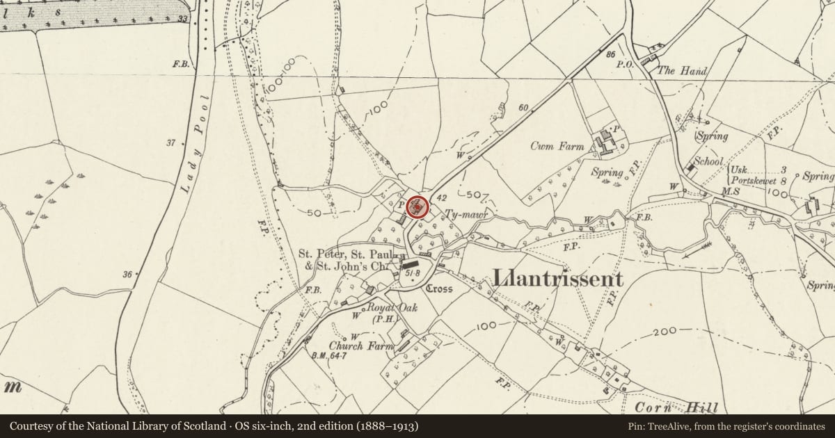Ordnance Survey six-inch map, 2nd edition (1888–1913) covering the location of Ty Mawr, Llantrisant Fawr, Monmouthshire, with a pin at the register's coordinates