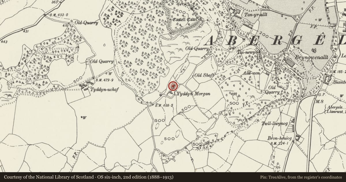 Ordnance Survey six-inch map, 2nd edition (1888–1913) covering the location of Tyddyn-Morgan, Abergele, Conwy, with a pin at the register's coordinates