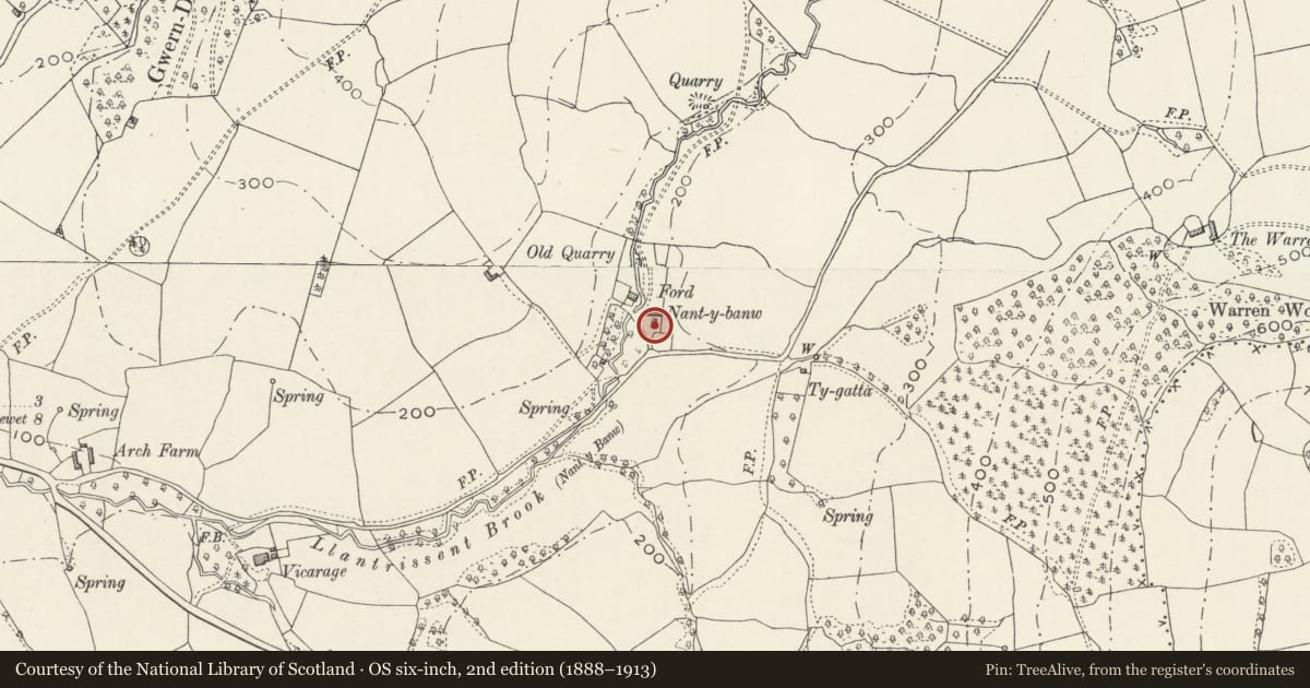 Ordnance Survey six-inch map, 2nd edition (1888–1913) covering the location of Cider House at Nantybanw, Llantrisant Fawr, Monmouthshire, with a pin at the register's coordinates