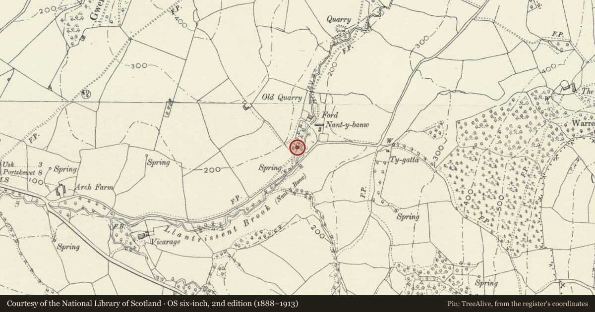 Ordnance Survey six-inch map, 2nd edition (1888–1913) covering the location of Mill House at Nantybanw, Llantrisant Fawr, Monmouthshire, with a pin at the register's coordinates