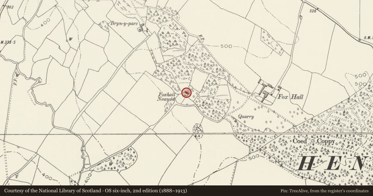 Ordnance Survey six-inch map, 2nd edition (1888–1913) covering the location of Former Domestic Range adjoining Foxhall Newydd ruins to the SW, Henllan, Denbighshire, with a pin at the register's coordinates