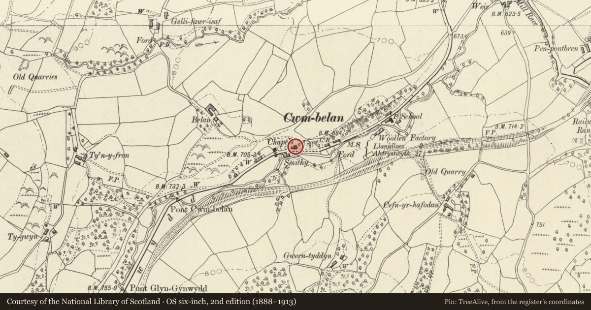 Ordnance Survey six-inch map, 2nd edition (1888–1913) covering the location of Zion Baptist Chapel and attached chapel house, Llangurig, Powys, with a pin at the register's coordinates