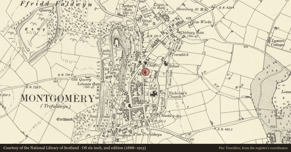Ordnance Survey six-inch map, 2nd edition (1888–1913) covering the location of Montgomery Presbyterian Church, Powys, with a pin at the register's coordinates