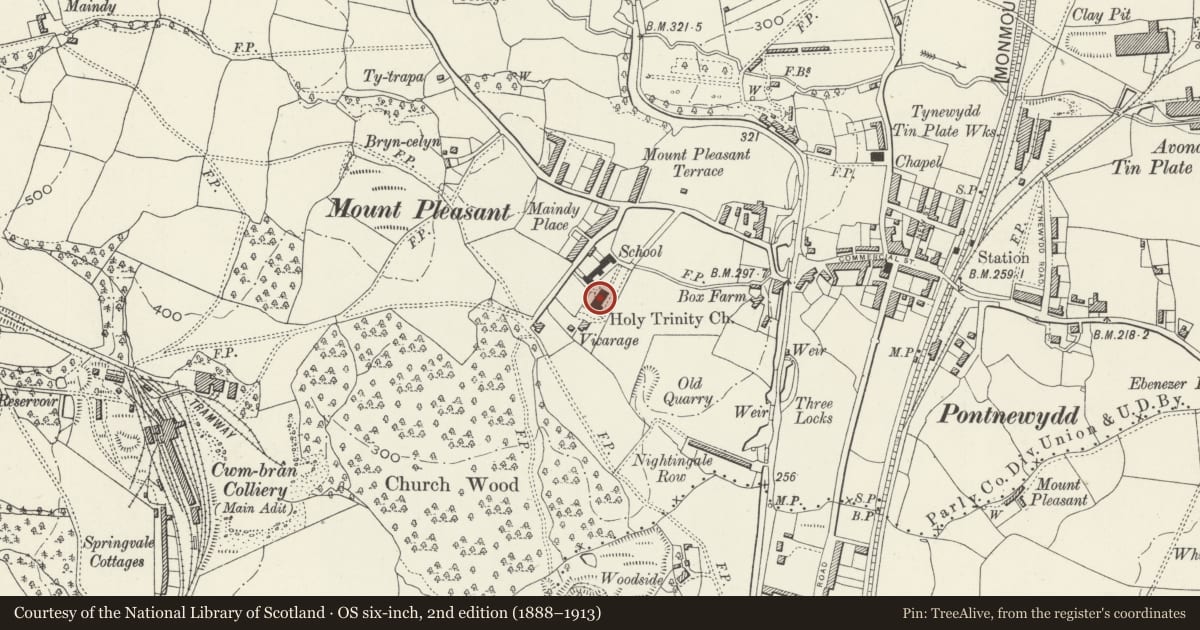 Ordnance Survey six-inch map, 2nd edition (1888–1913) covering the location of Church of the Holy Trinity, Pontnewydd, Torfaen, with a pin at the register's coordinates
