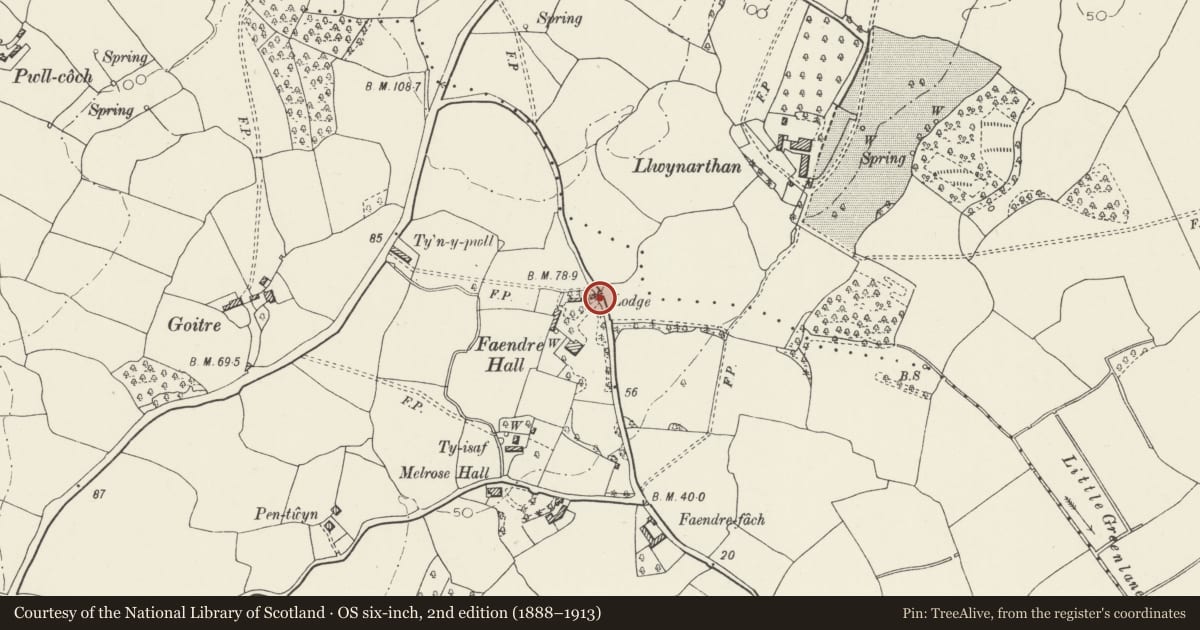 Ordnance Survey six-inch map, 2nd edition (1888–1913) covering the location of Entrance Gateway at Faendre Hall, Trowbridge, Cardiff, with a pin at the register's coordinates