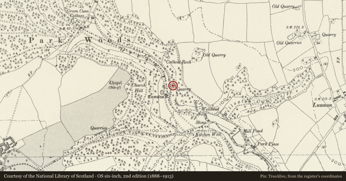 Ordnance Survey six-inch map, 2nd edition (1888–1913) covering the location of Limekiln at Green Cwm, Ilston, Swansea, with a pin at the register's coordinates