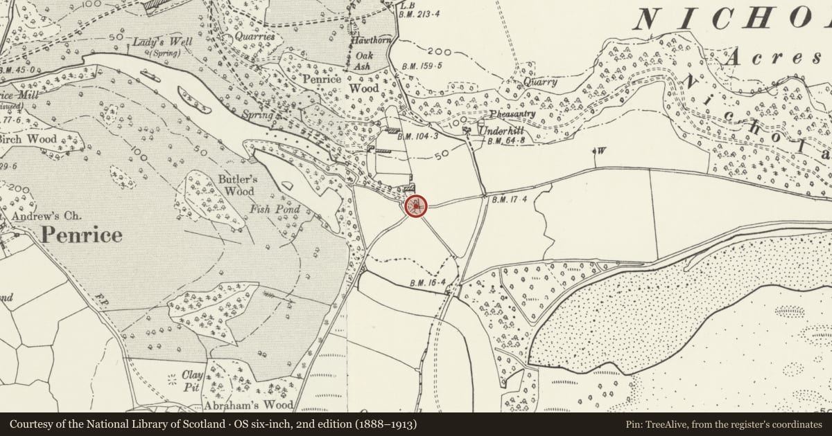 Ordnance Survey six-inch map, 2nd edition (1888–1913) covering the location of Penrice Castle South-East Gates and Piers (Also in Penrice Community), Swansea, with a pin at the register's coordinates