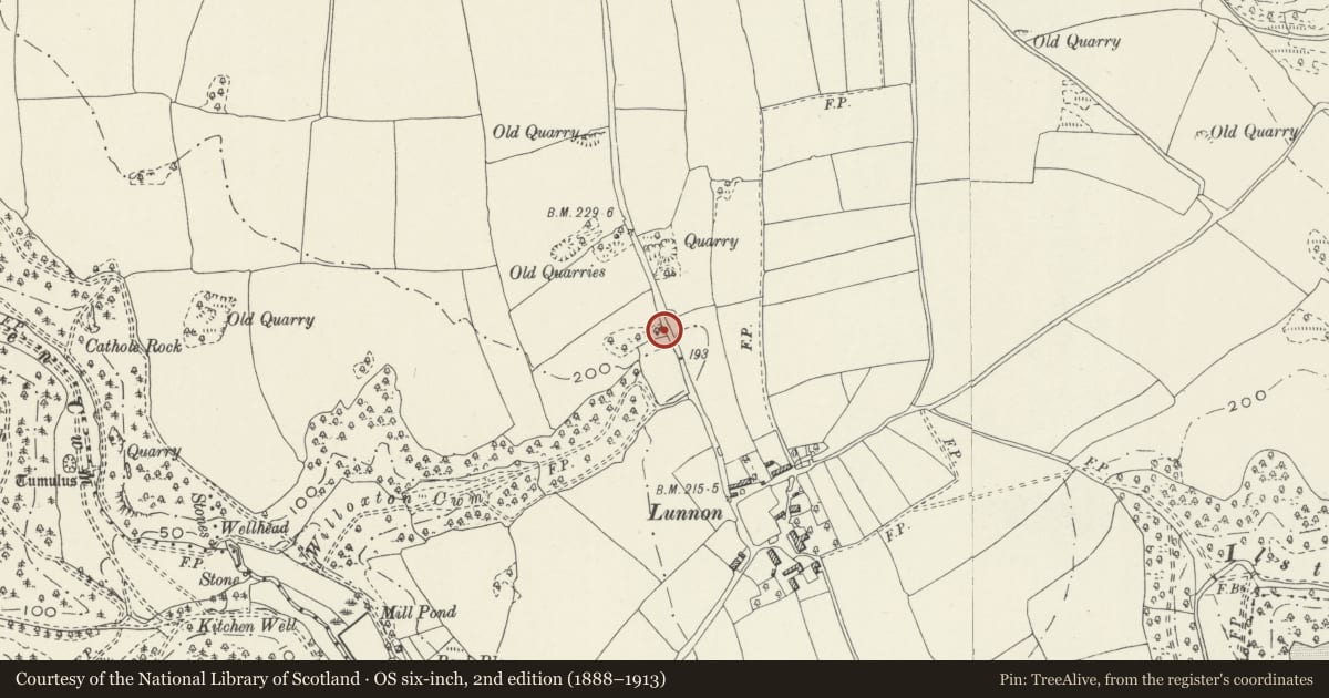 Ordnance Survey six-inch map, 2nd edition (1888–1913) covering the location of Lime Kiln, Ilston, Swansea, with a pin at the register's coordinates