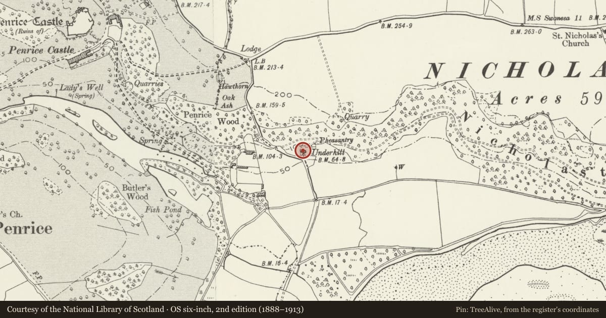 Ordnance Survey six-inch map, 2nd edition (1888–1913) covering the location of Old Cottage in grounds of Underhill Cottage, Ilston, Swansea, with a pin at the register's coordinates