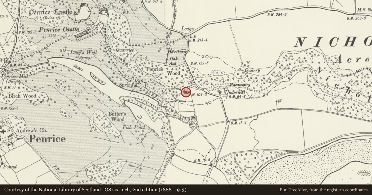 Ordnance Survey six-inch map, 2nd edition (1888–1913) covering the location of The Orangery, Ilston, Swansea, with a pin at the register's coordinates