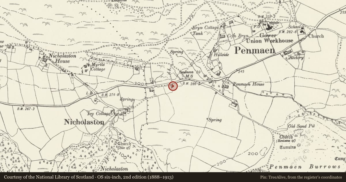 Ordnance Survey six-inch map, 2nd edition (1888–1913) covering the location of Penmaen Farmhouse and adjacent cottage, Ilston, Swansea, with a pin at the register's coordinates