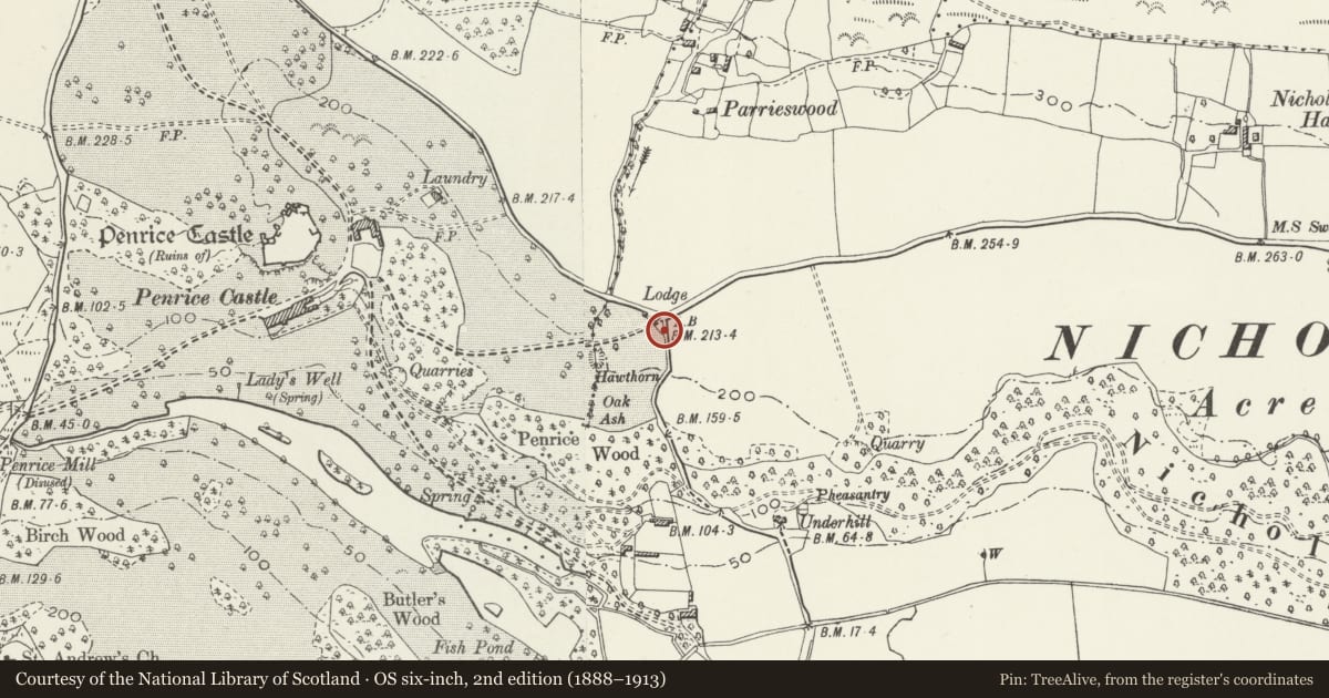 Ordnance Survey six-inch map, 2nd edition (1888–1913) covering the location of Outlying tower designed to complement Penrice Towers, Ilston, Swansea, with a pin at the register's coordinates