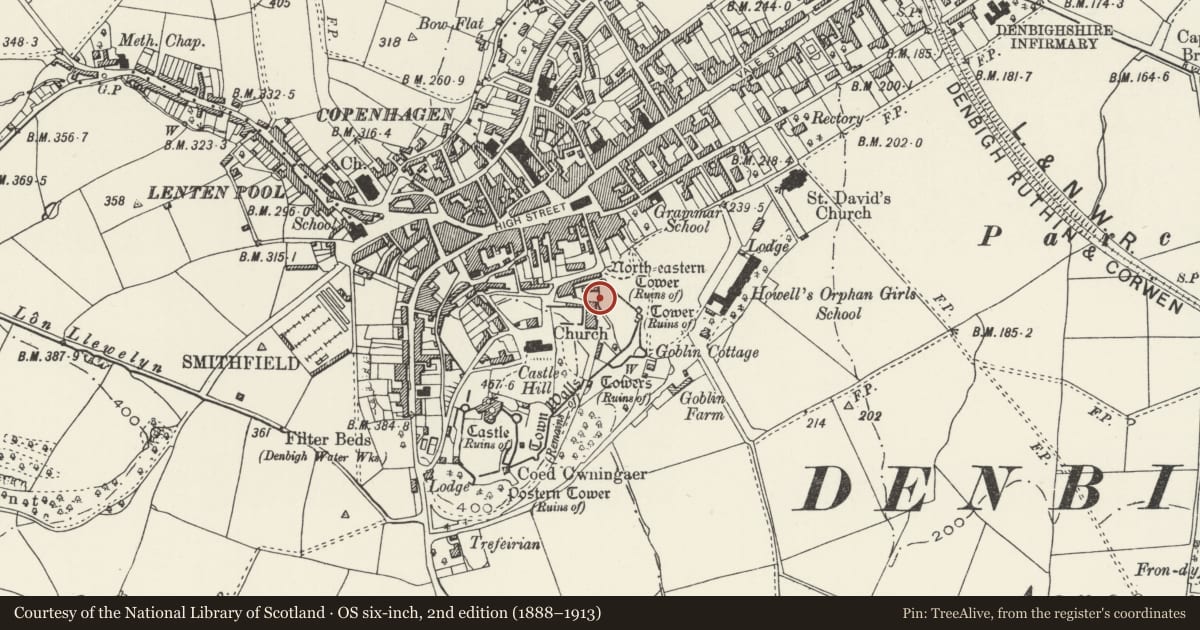 Ordnance Survey six-inch map, 2nd edition (1888–1913) covering the location of Aedicular Gothic Gazebo and associated garden steps at Peacock House, Denbigh, Denbighshire, with a pin at the register's coordinates