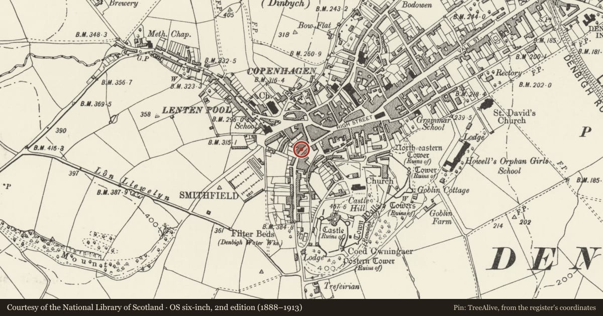 Ordnance Survey six-inch map, 2nd edition (1888–1913) covering the location of The Britannia PH, Denbigh, Denbighshire, with a pin at the register's coordinates