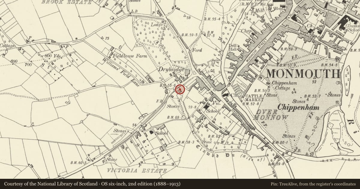 Ordnance Survey six-inch map, 2nd edition (1888–1913) covering the location of Brook Cottage, Monmouth, Monmouthshire, with a pin at the register's coordinates