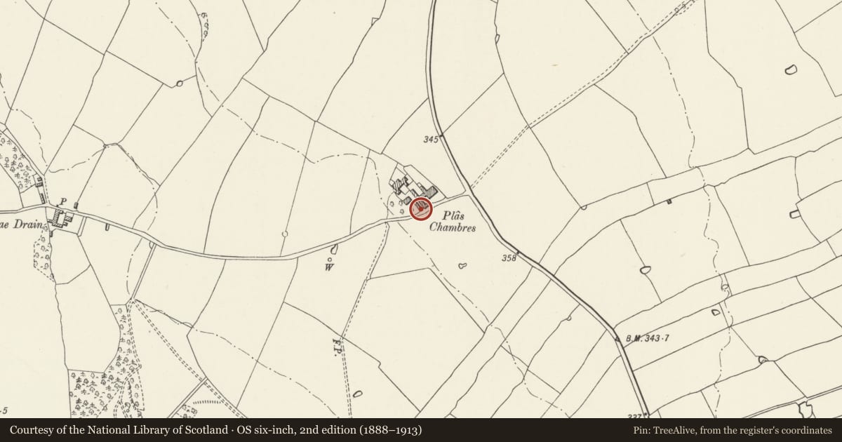 Ordnance Survey six-inch map, 2nd edition (1888–1913) covering the location of Carthouse at Plas Chambres, including adjoining orchard walls, Denbigh, Denbighshire, with a pin at the register's coordinates