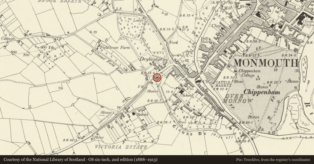 Ordnance Survey six-inch map, 2nd edition (1888–1913) covering the location of 3 Wonastow Road, Monmouth, Monmouthshire, with a pin at the register's coordinates