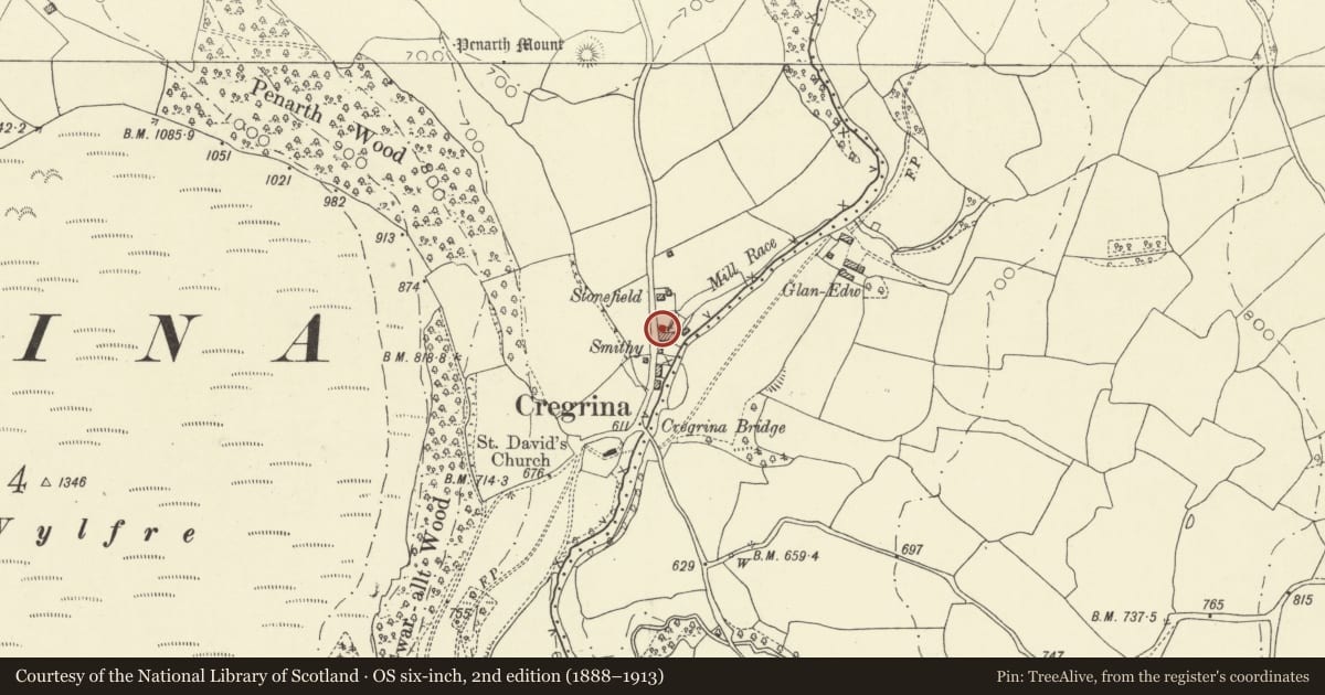 Ordnance Survey six-inch map, 2nd edition (1888–1913) covering the location of Old Rectory, including forecourt walls, gate, and railings, Glascwm, Powys, with a pin at the register's coordinates