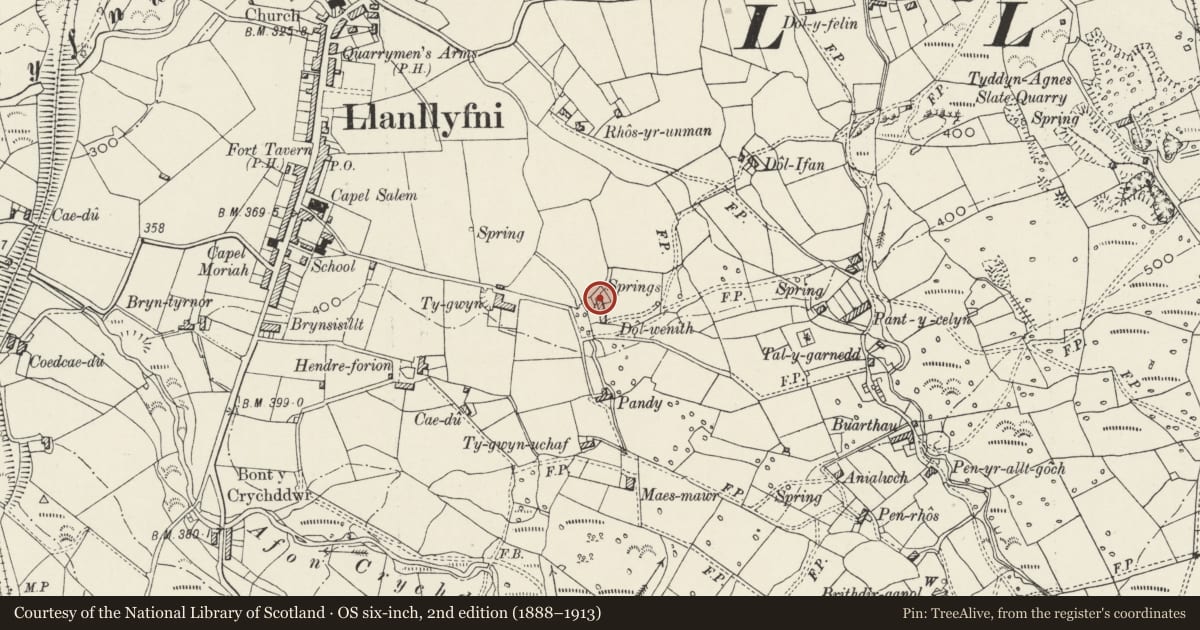 Ordnance Survey six-inch map, 2nd edition (1888–1913) covering the location of Former Cowhouse to Dol-wenith, Llanllyfni, Gwynedd, with a pin at the register's coordinates