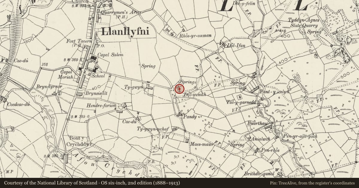 Ordnance Survey six-inch map, 2nd edition (1888–1913) covering the location of Dol-wenith, Llanllyfni, Gwynedd, with a pin at the register's coordinates