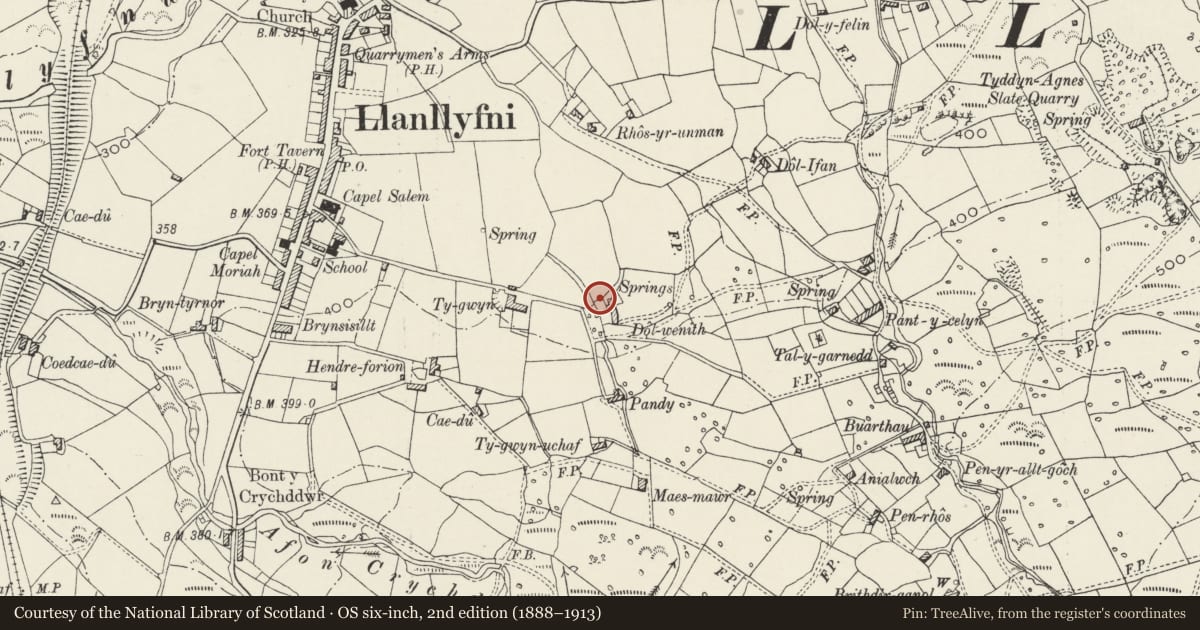 Ordnance Survey six-inch map, 2nd edition (1888–1913) covering the location of Pigsties at Dol-wenith, Llanllyfni, Gwynedd, with a pin at the register's coordinates