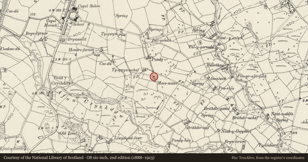Ordnance Survey six-inch map, 2nd edition (1888–1913) covering the location of Maes Mawr, Llanllyfni, Gwynedd, with a pin at the register's coordinates