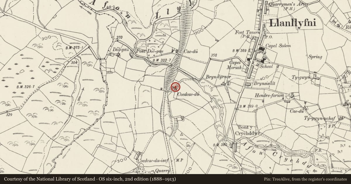 Ordnance Survey six-inch map, 2nd edition (1888–1913) covering the location of Coedcae-du, Llanllyfni, Gwynedd, with a pin at the register's coordinates