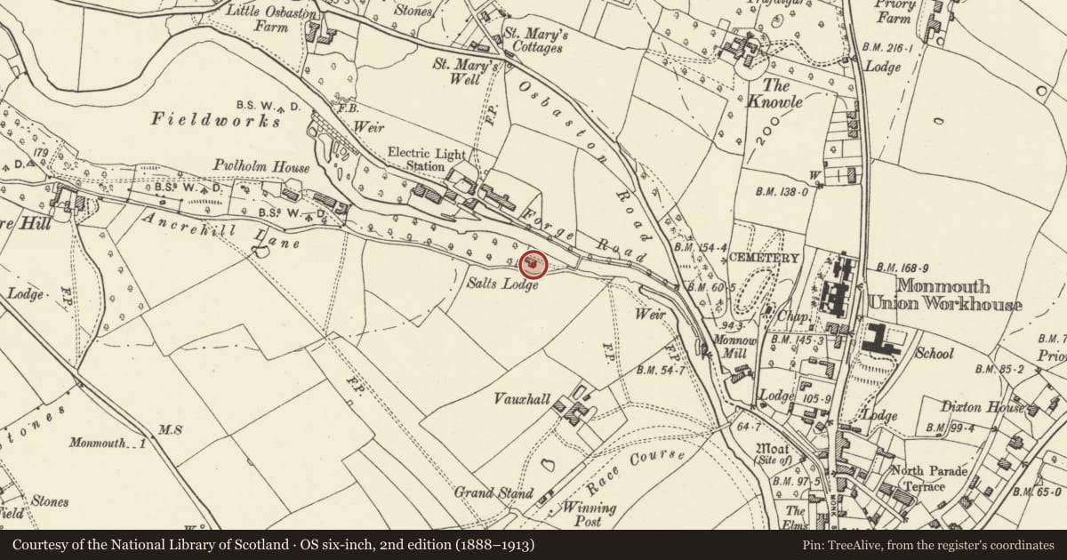 Ordnance Survey six-inch map, 2nd edition (1888–1913) covering the location of Salts Lodge, Monmouth, Monmouthshire, with a pin at the register's coordinates