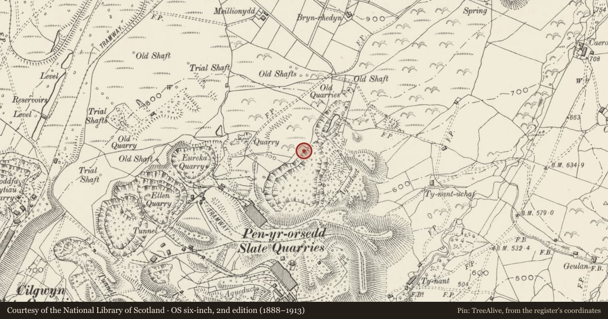 Ordnance Survey six-inch map, 2nd edition (1888–1913) covering the location of Locomotive Shed, Llanllyfni, Gwynedd, with a pin at the register's coordinates