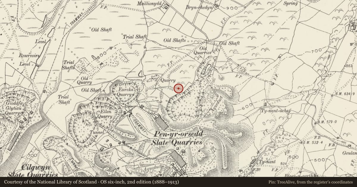 Ordnance Survey six-inch map, 2nd edition (1888–1913) covering the location of Transformer House, Llanllyfni, Gwynedd, with a pin at the register's coordinates