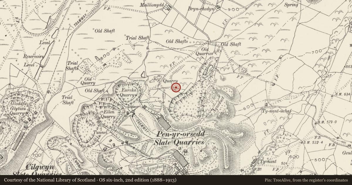 Ordnance Survey six-inch map, 2nd edition (1888–1913) covering the location of Engine and Compressor House, Llanllyfni, Gwynedd, with a pin at the register's coordinates