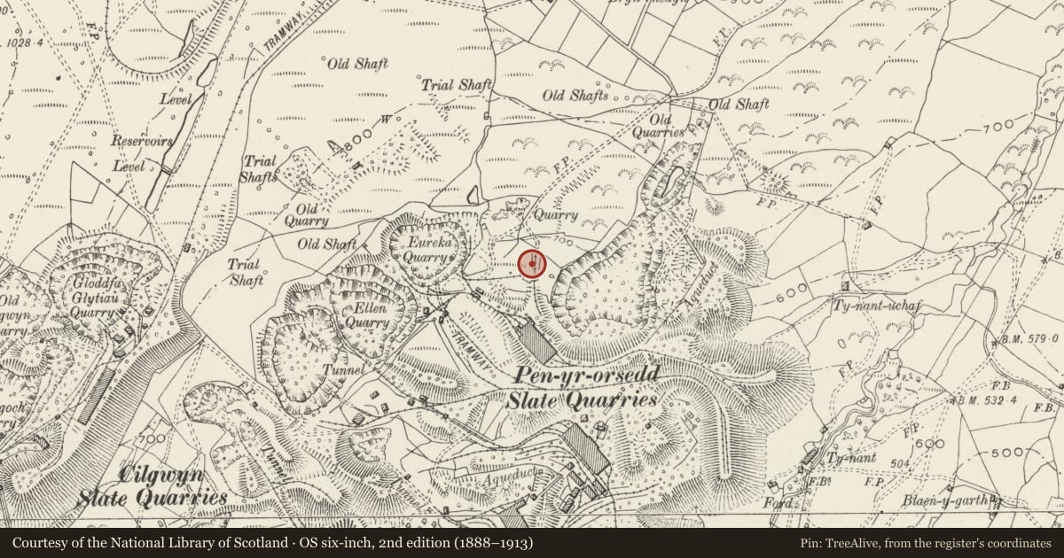 Ordnance Survey six-inch map, 2nd edition (1888–1913) covering the location of Drying House, Llanllyfni, Gwynedd, with a pin at the register's coordinates