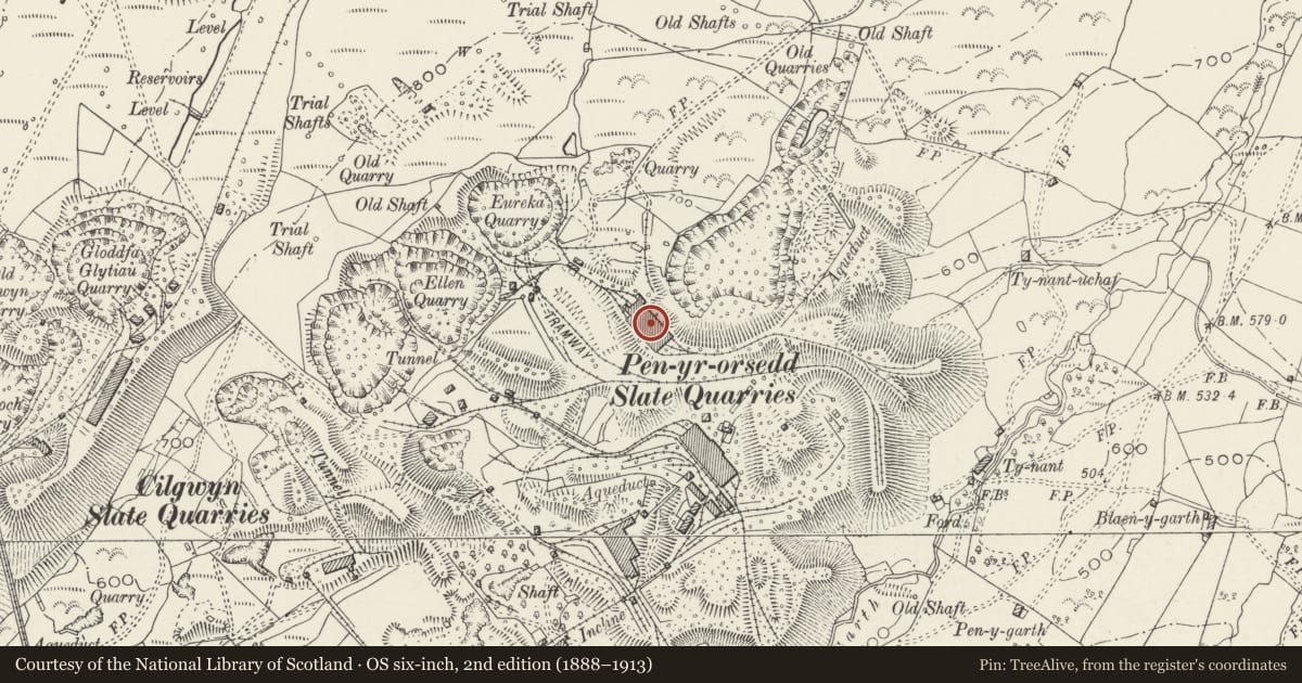 Ordnance Survey six-inch map, 2nd edition (1888–1913) covering the location of Eureka Slate Mill, Llanllyfni, Gwynedd, with a pin at the register's coordinates