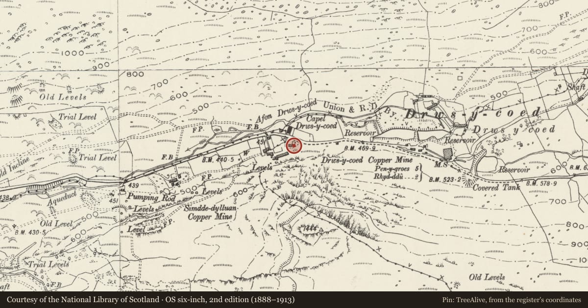 Ordnance Survey six-inch map, 2nd edition (1888–1913) covering the location of Bwthyn, Llanllyfni, Gwynedd, with a pin at the register's coordinates
