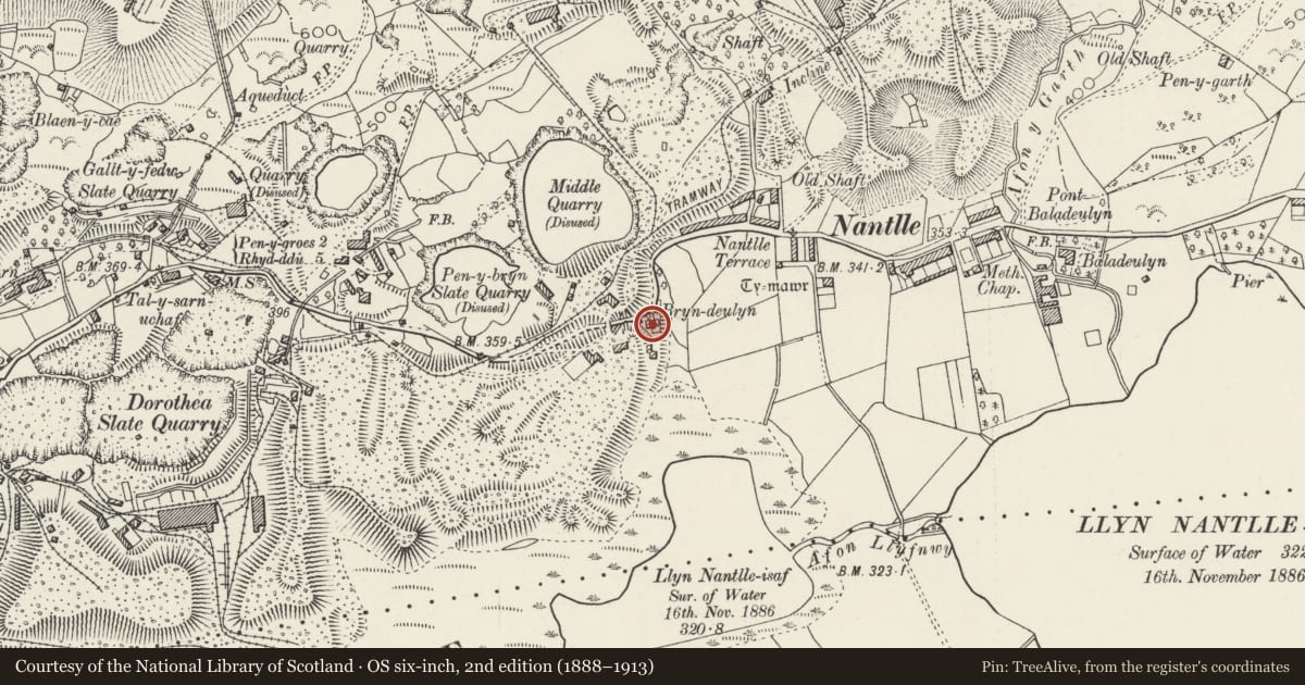 Ordnance Survey six-inch map, 2nd edition (1888–1913) covering the location of Bryn Deulyn, Llanllyfni, Gwynedd, with a pin at the register's coordinates