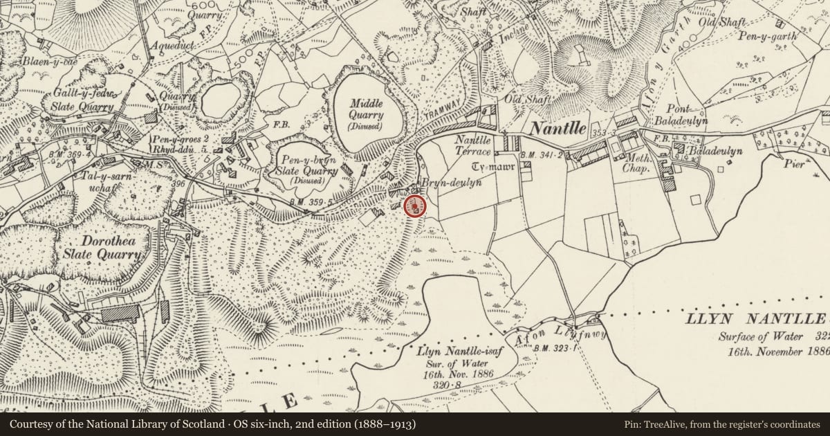 Ordnance Survey six-inch map, 2nd edition (1888–1913) covering the location of Coach house/wash house and stables at Bryn Deulyn, Llanllyfni, Gwynedd, with a pin at the register's coordinates