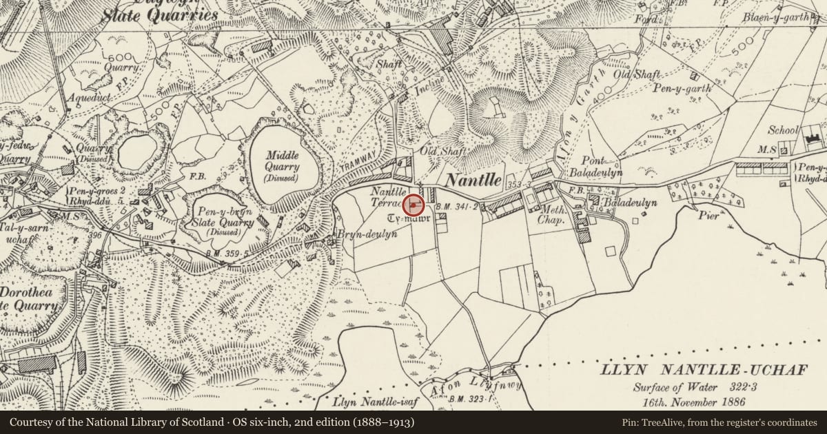 Ordnance Survey six-inch map, 2nd edition (1888–1913) covering the location of Former Dairy to north-west of Ty Mawr, Llanllyfni, Gwynedd, with a pin at the register's coordinates