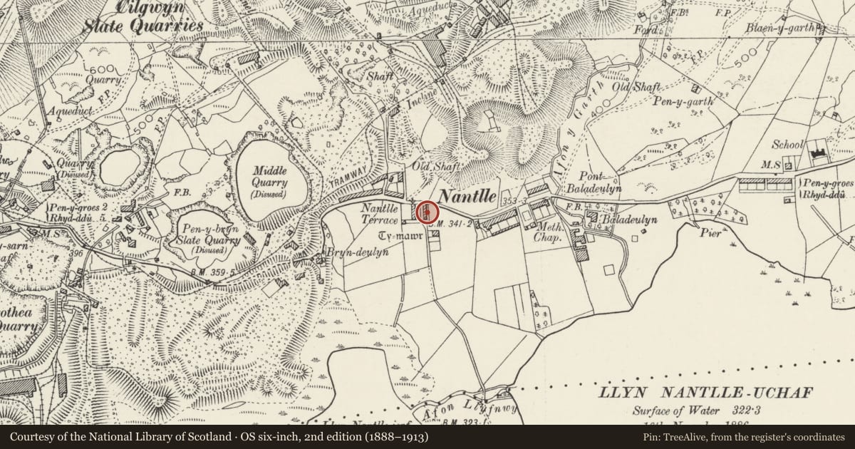 Ordnance Survey six-inch map, 2nd edition (1888–1913) covering the location of Former Quarrymen's Barracks to north-west of Ty Mawr (east range), Llanllyfni, Gwynedd, with a pin at the register's coordinates