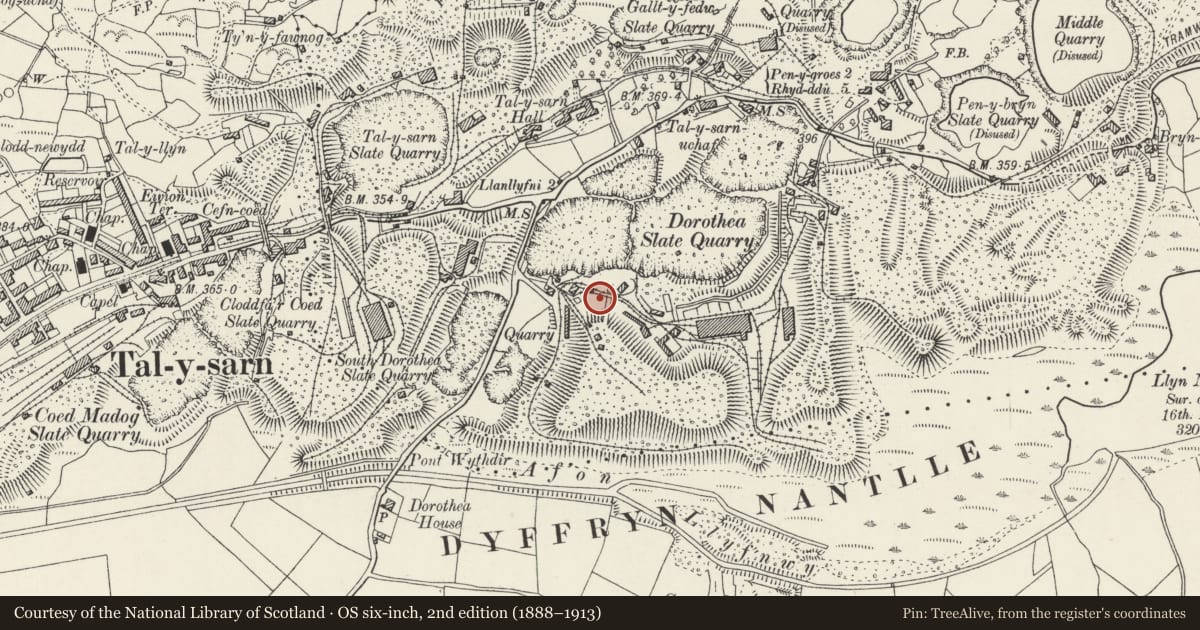 Ordnance Survey six-inch map, 2nd edition (1888–1913) covering the location of South-western aerial ropeway revetment, incline and associated buildings, Llanllyfni, Gwynedd, with a pin at the register's coordinates