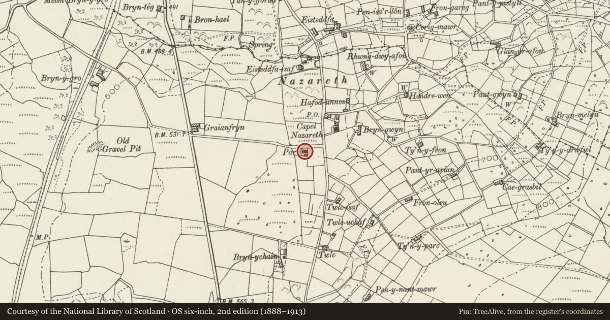 Ordnance Survey six-inch map, 2nd edition (1888–1913) covering the location of Parc, Llanllyfni, Gwynedd, with a pin at the register's coordinates