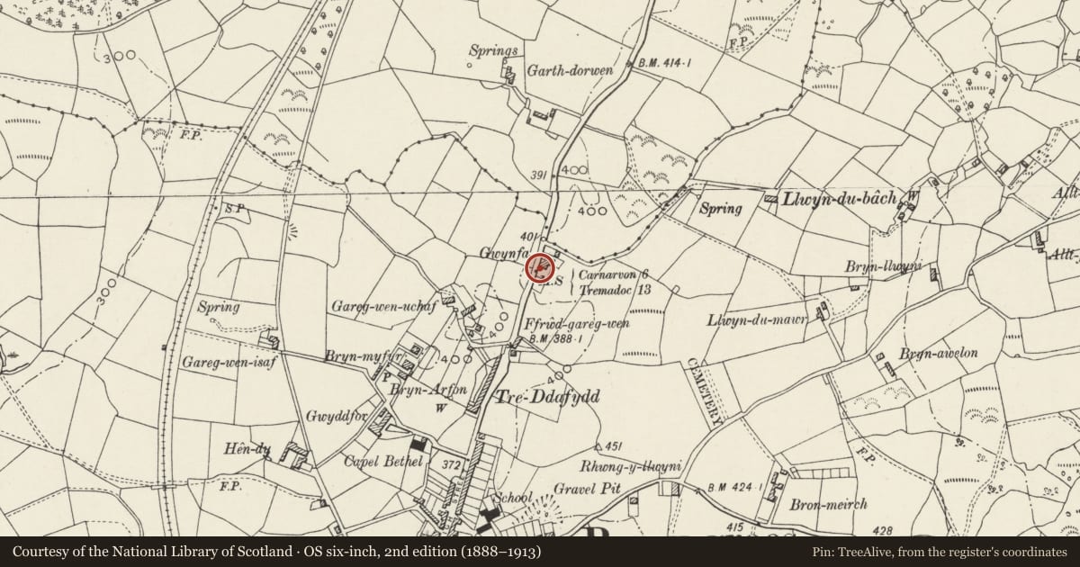 Ordnance Survey six-inch map, 2nd edition (1888–1913) covering the location of Milestone, Llanllyfni, Gwynedd, with a pin at the register's coordinates