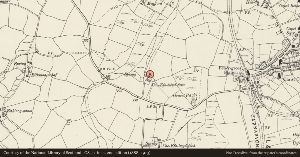 Ordnance Survey six-inch map, 2nd edition (1888–1913) covering the location of Cae-efa-lwyd-fawr, Llanllyfni, Gwynedd, with a pin at the register's coordinates
