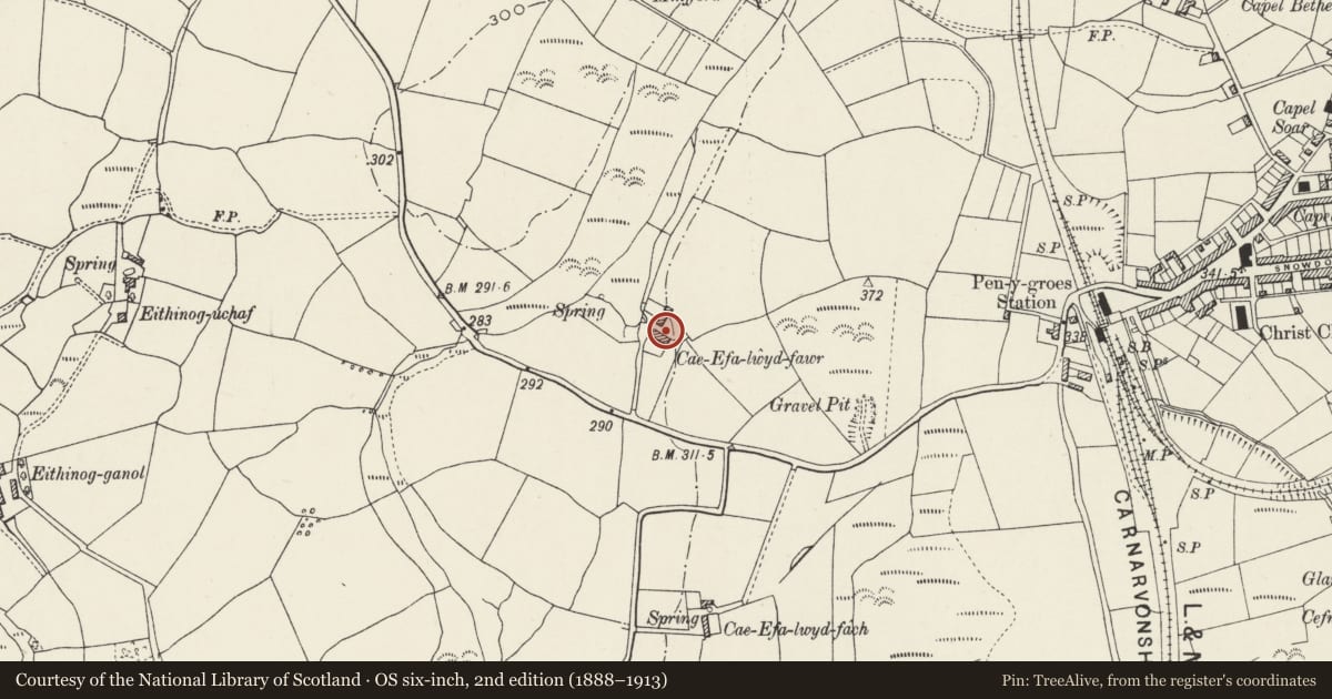 Ordnance Survey six-inch map, 2nd edition (1888–1913) covering the location of Cowhouse to south of Cae-efa-lwyd-fawr, Llanllyfni, Gwynedd, with a pin at the register's coordinates
