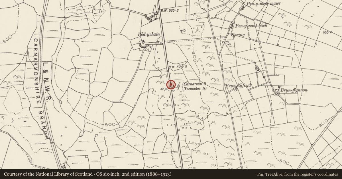 Ordnance Survey six-inch map, 2nd edition (1888–1913) covering the location of Milestone, Llanllyfni, Gwynedd, with a pin at the register's coordinates